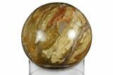 Colorful Petrified Wood (Araucaria) Sphere - Madagascar #182873-1